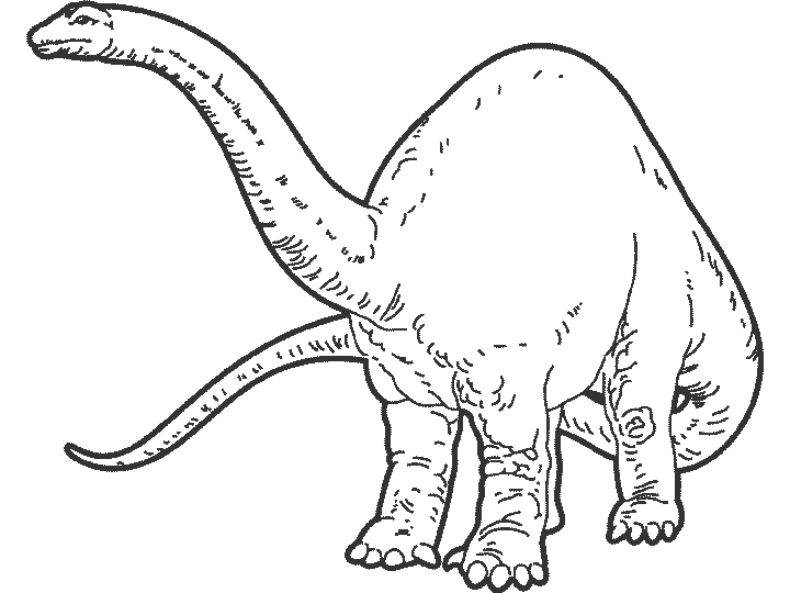 Simple Dinosaur Coloring Pages at GetColorings.com | Free printable