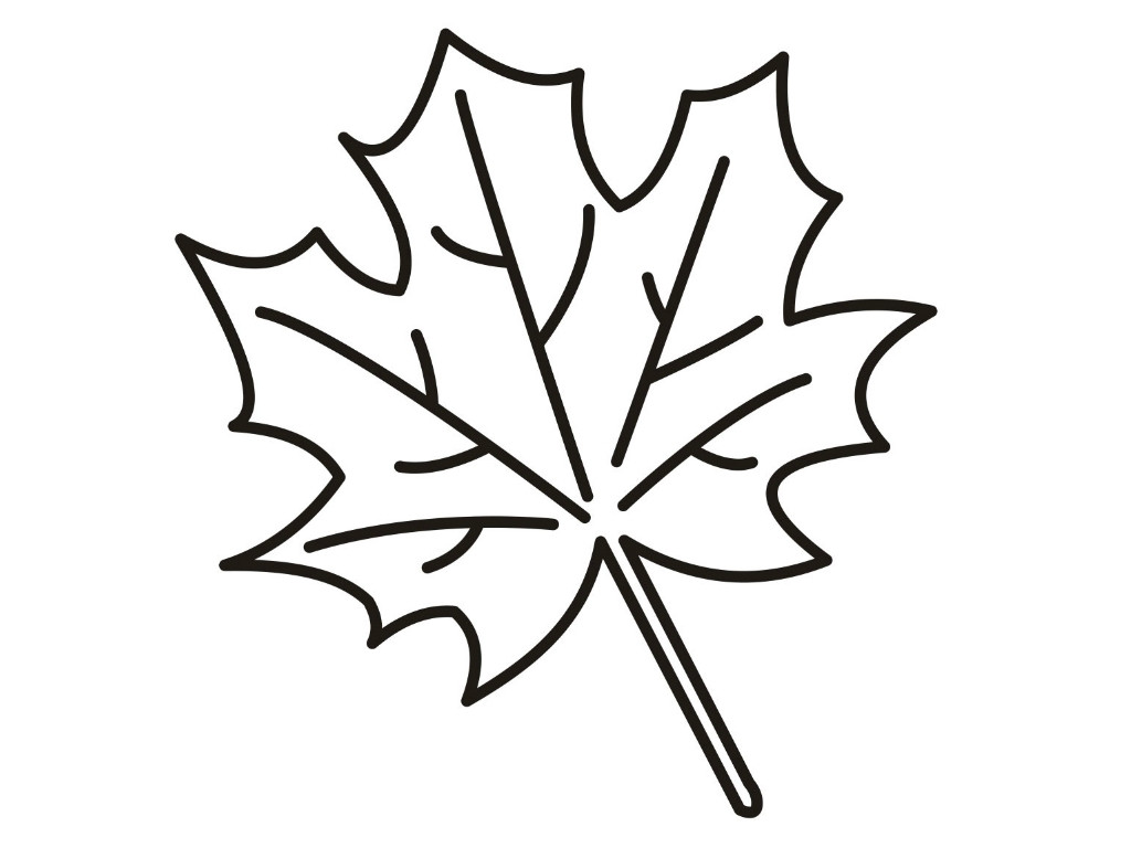 Simple Leaf Coloring Pages at GetColorings.com | Free printable