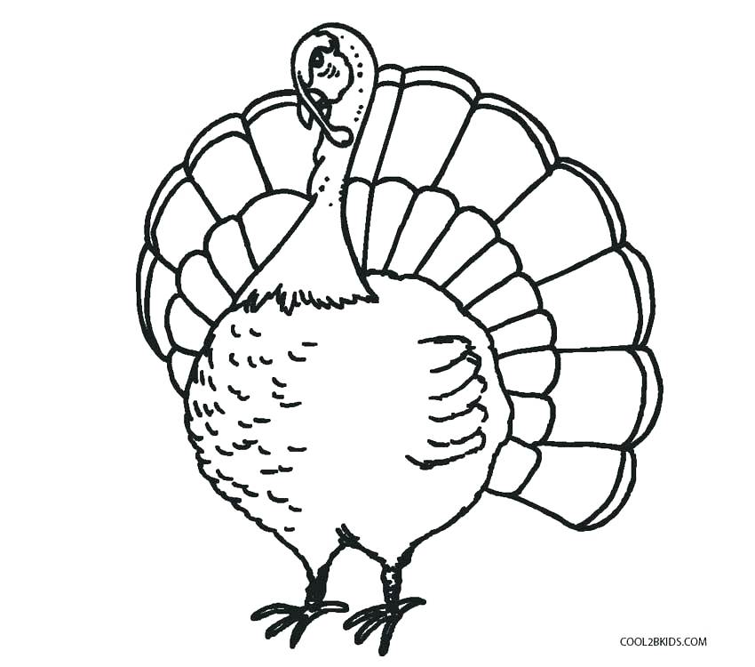 Simple Turkey Coloring Page at GetColorings.com | Free printable