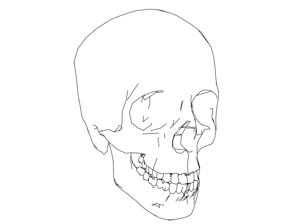 Skeleton Coloring Pages Anatomy at GetColorings.com | Free printable