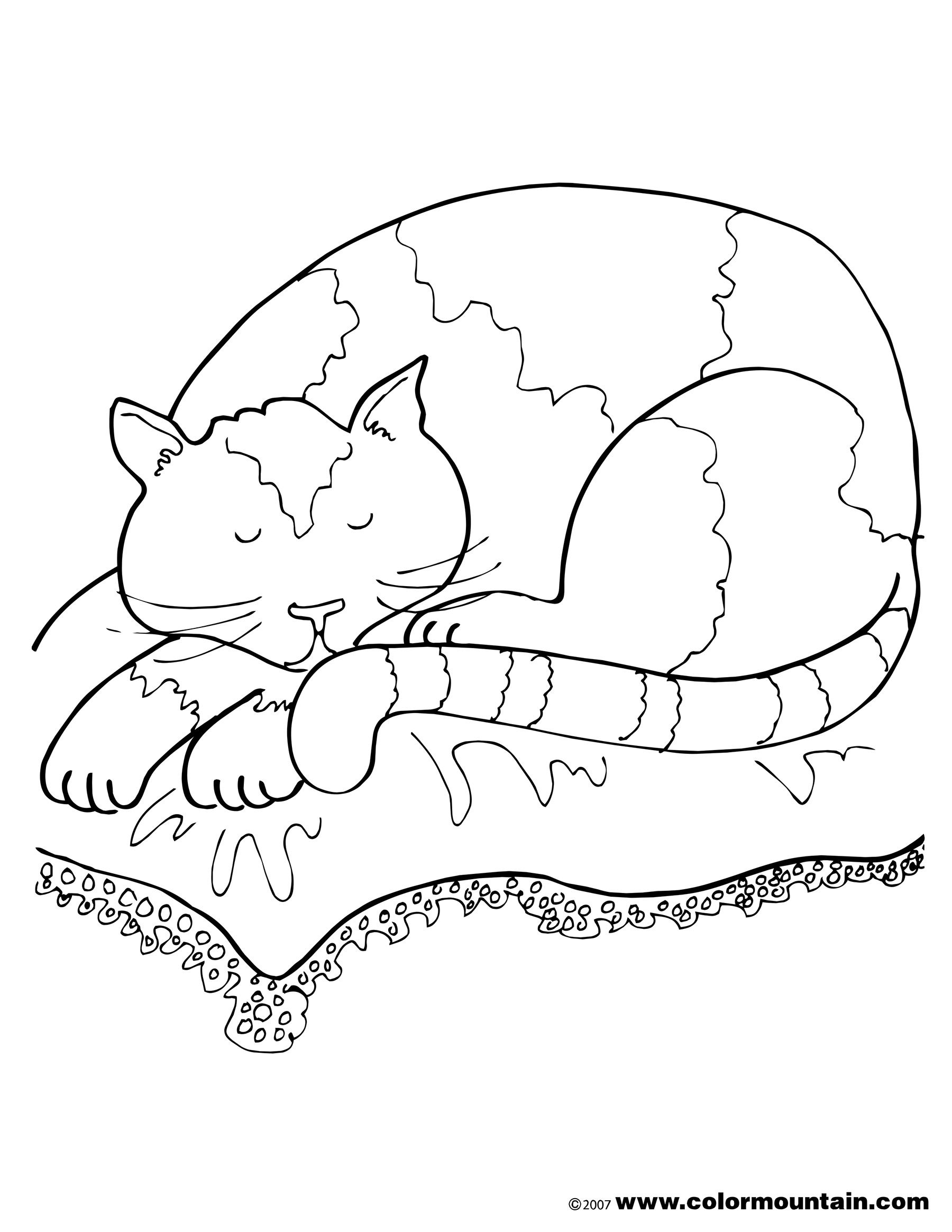 Sleeping Cat Coloring Pages at GetColorings.com | Free printable