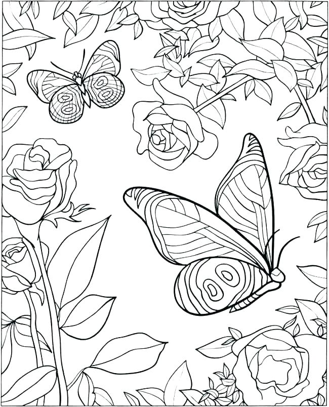 Small Butterfly Coloring Pages at GetColoringscom Free