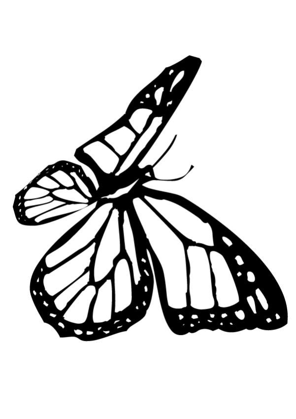 Small Butterfly Coloring Pages at GetColorings.com | Free printable