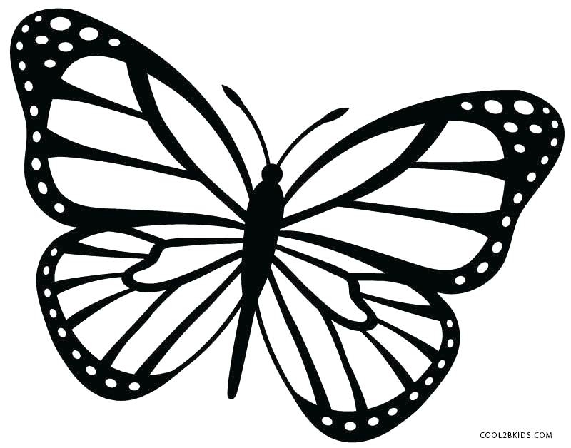 Small Butterfly Coloring Pages at GetColorings.com   Free ...