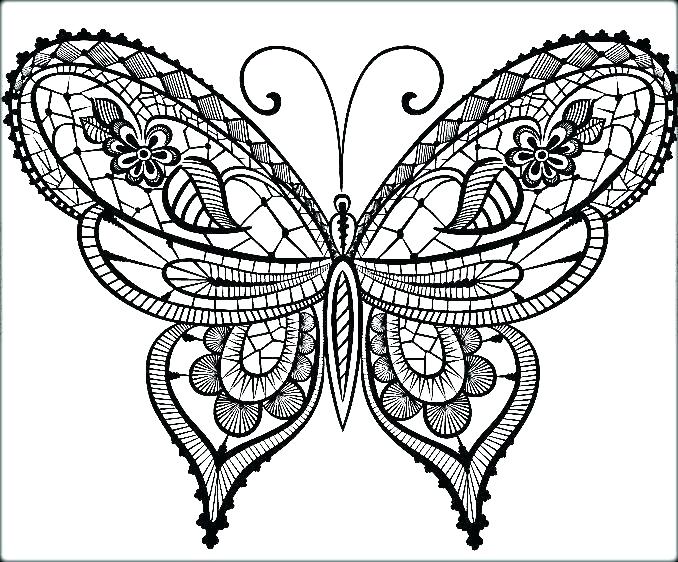 Small Butterfly Coloring Pages at GetColorings.com | Free ...