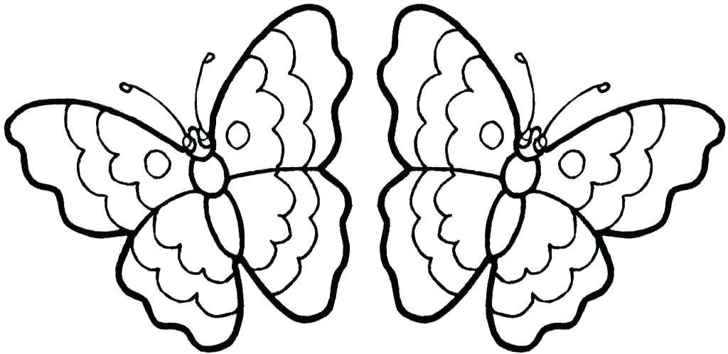 Small Butterfly Coloring Pages at GetColorings.com | Free printable