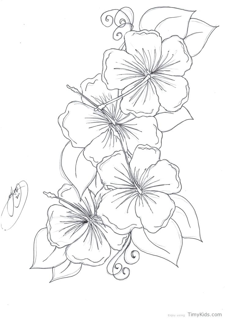 Small Flower Coloring Pages at Free printable