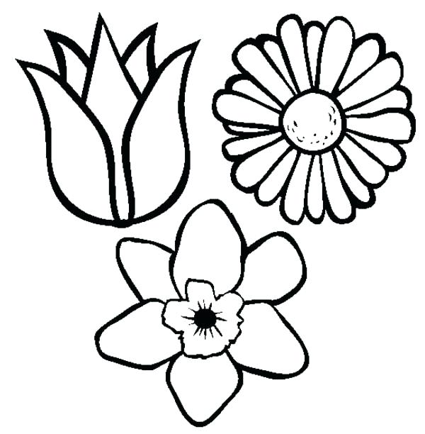 small-flower-coloring-pages-at-getcolorings-free-printable
