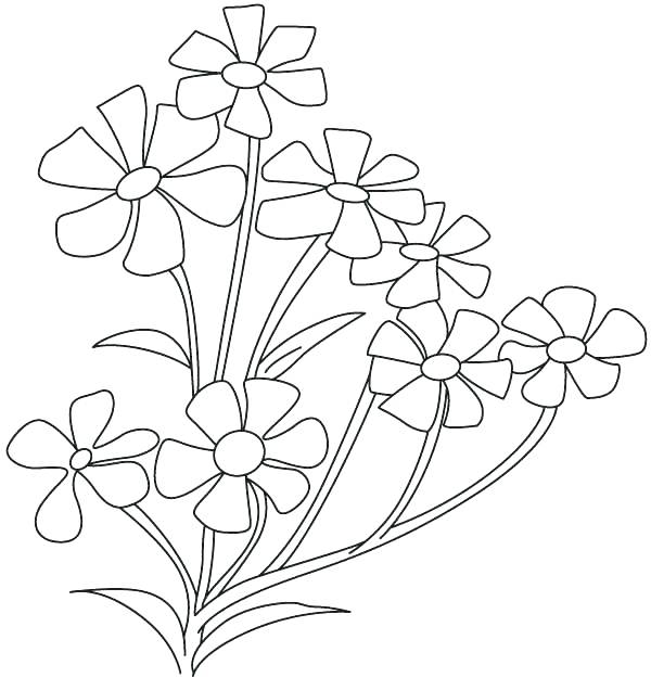 Small Flower Coloring Pages at Free printable