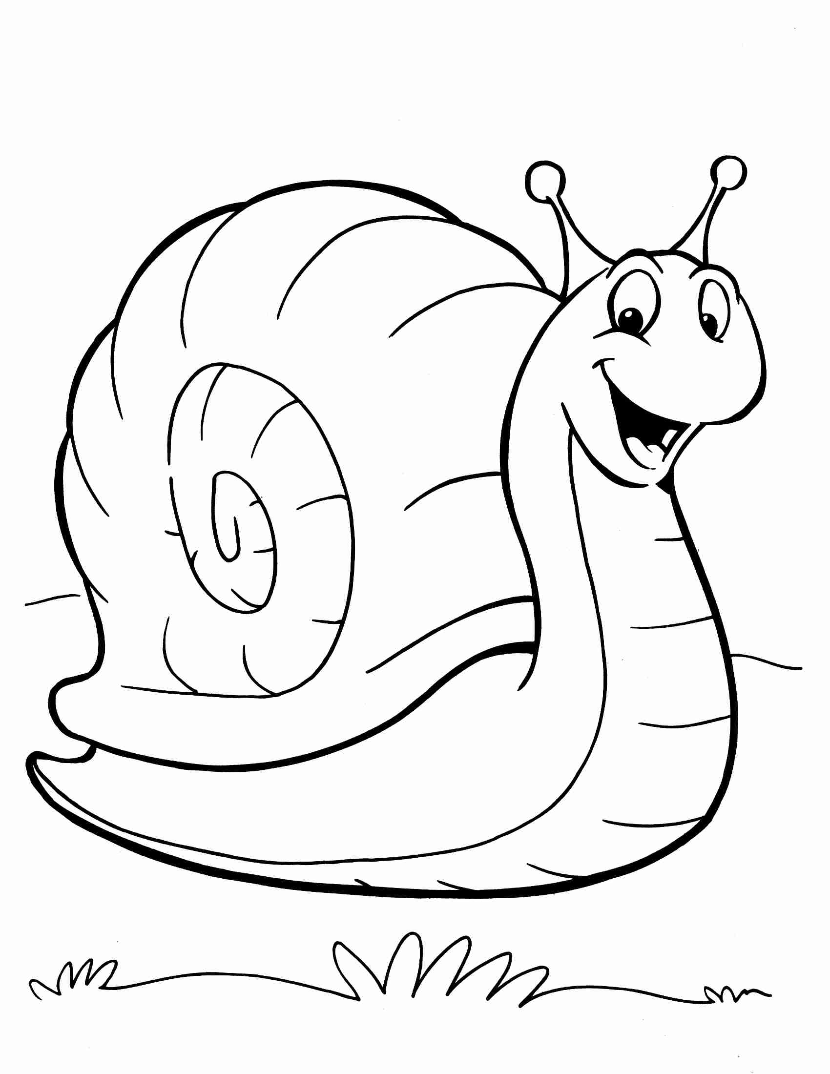 Snail Coloring Page at Free printable colorings