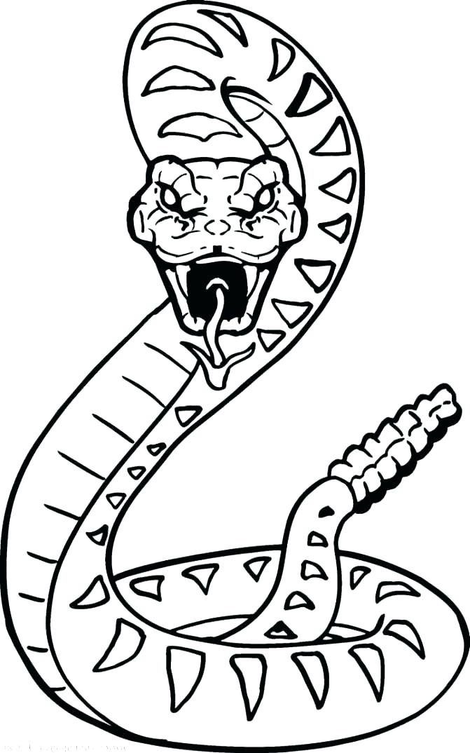 cool-snakes-coloring-pages-coloring-home