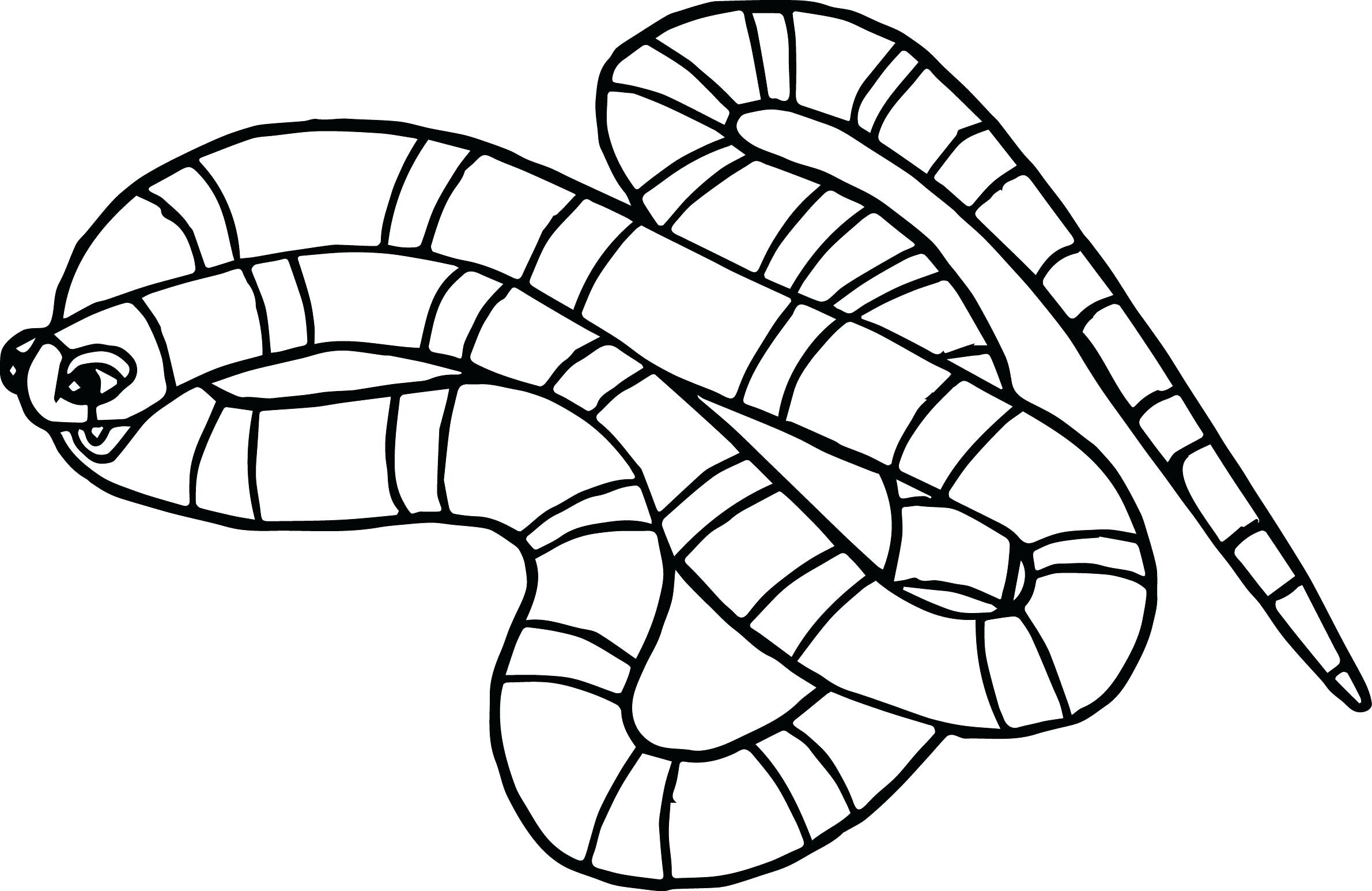 snake-coloring-pages-for-kids-at-getcolorings-free-printable-colorings-pages-to-print-and