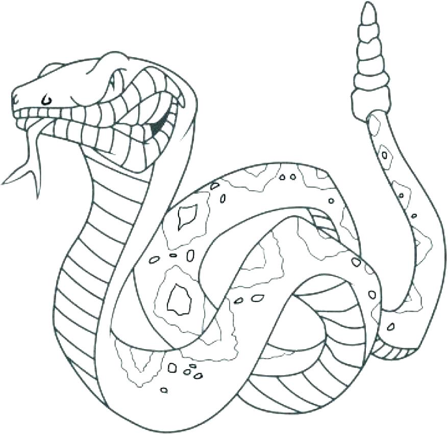 Snake Coloring Pages Printable At GetColorings
