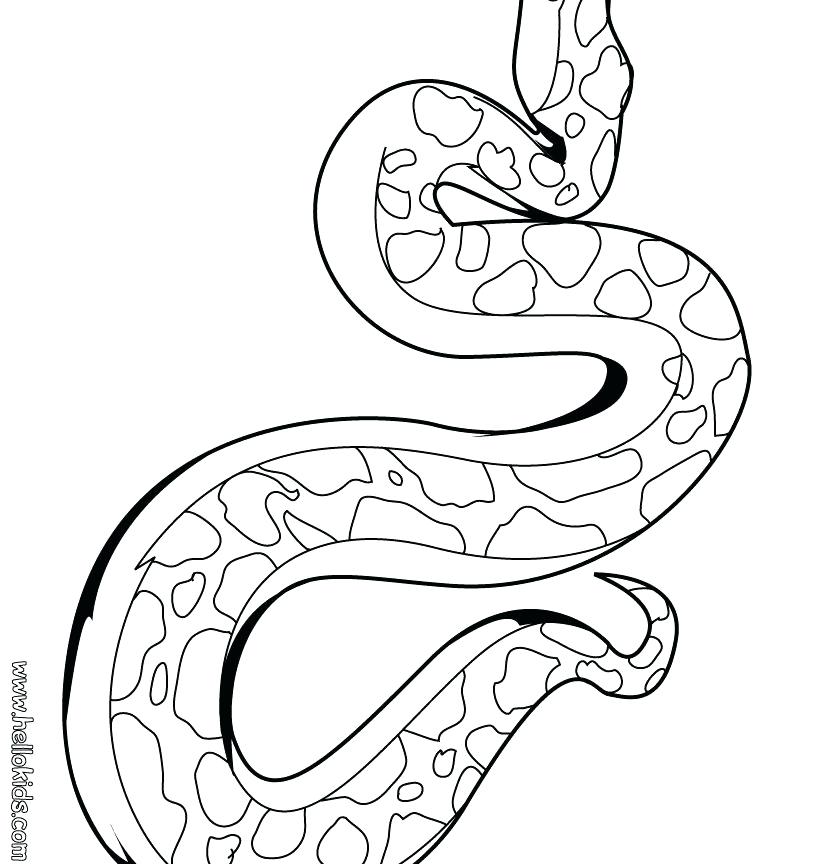 Snake Coloring Pages Realistic at GetColorings.com | Free printable