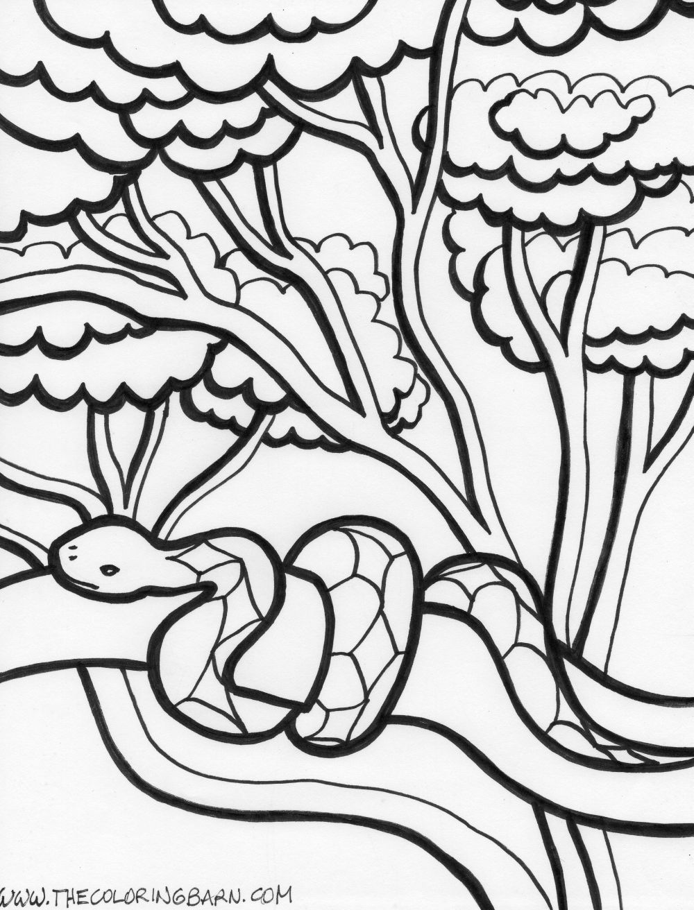 Snake Coloring Pages To Print At Getcolorings Free Printable