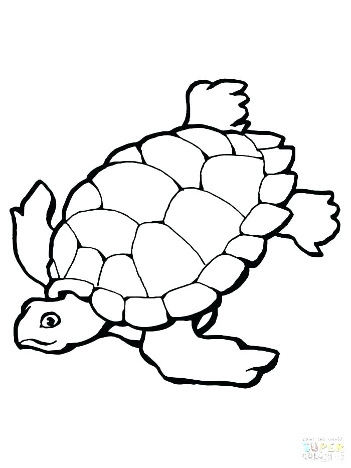 Snapping Turtle Coloring Pages at GetColorings.com | Free printable