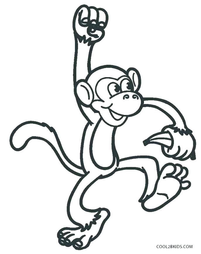 687x866 Monkey Pictures To Color Monkeys Coloring Pages Of A
