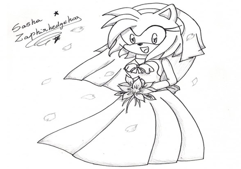 Sonic And Amy Coloring Pages at GetColorings.com | Free printable