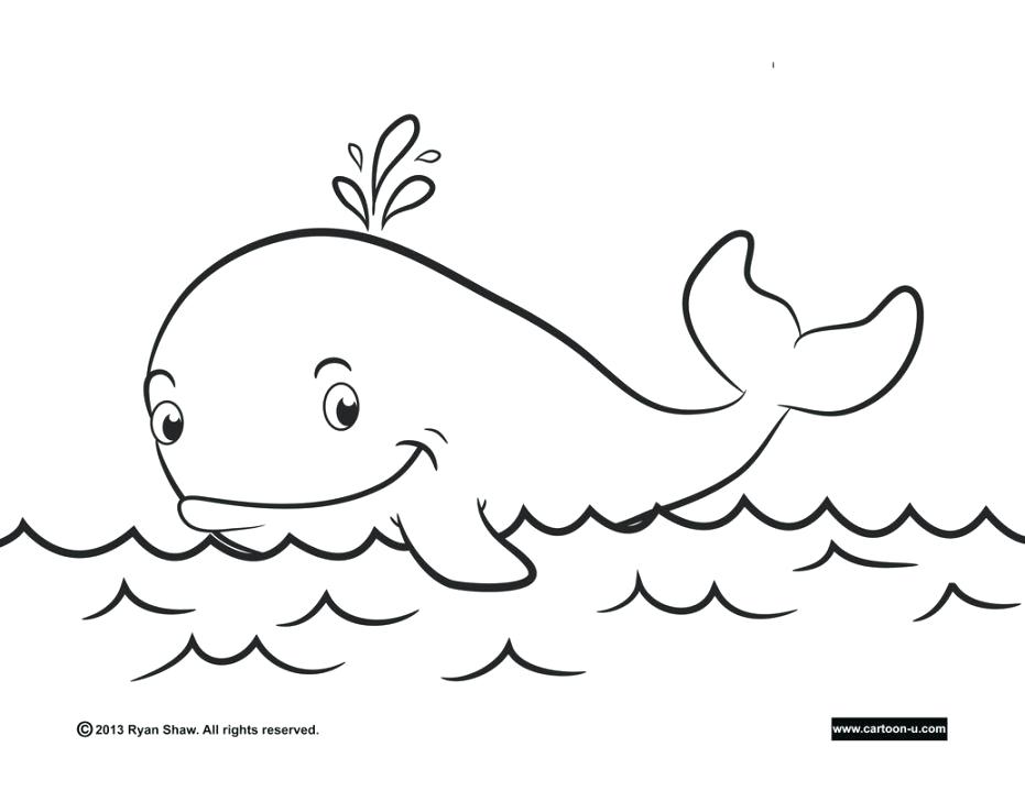 Sperm Whale Coloring Page at GetColoringscom Free