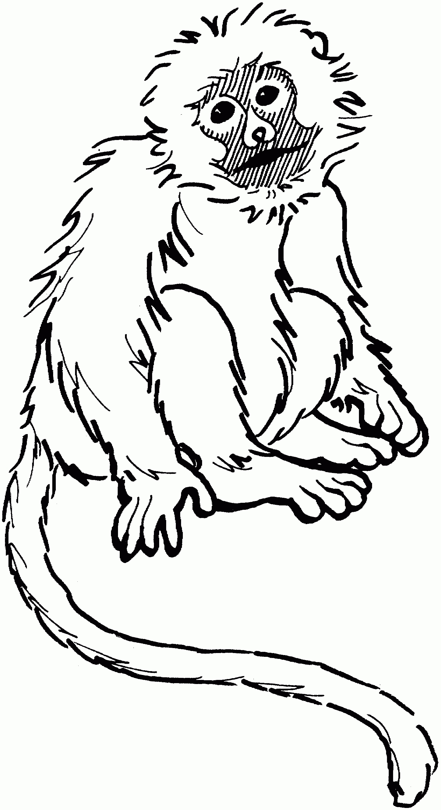 Ben Ten Spider Monkey Pages Coloring Pages
