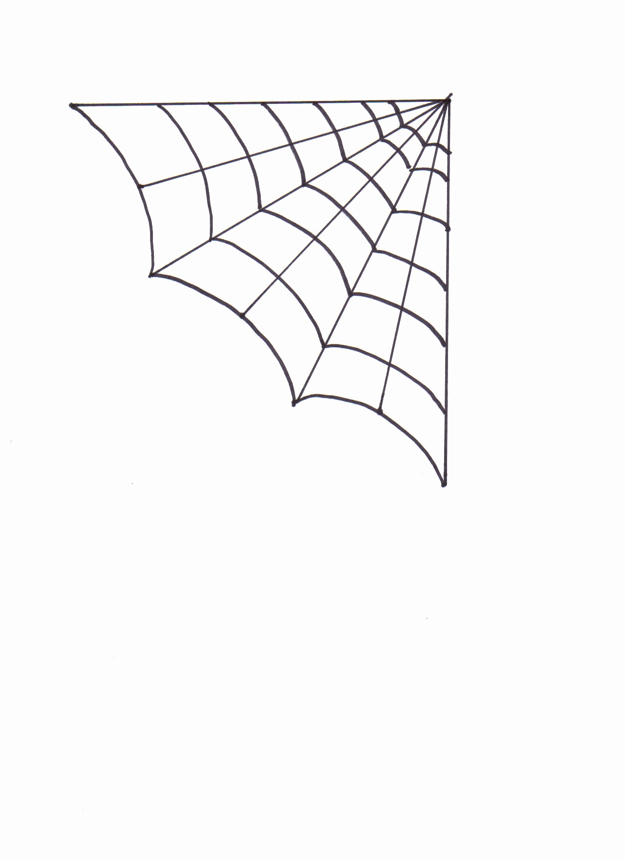 Spider Web Coloring Page At Free Printable Colorings