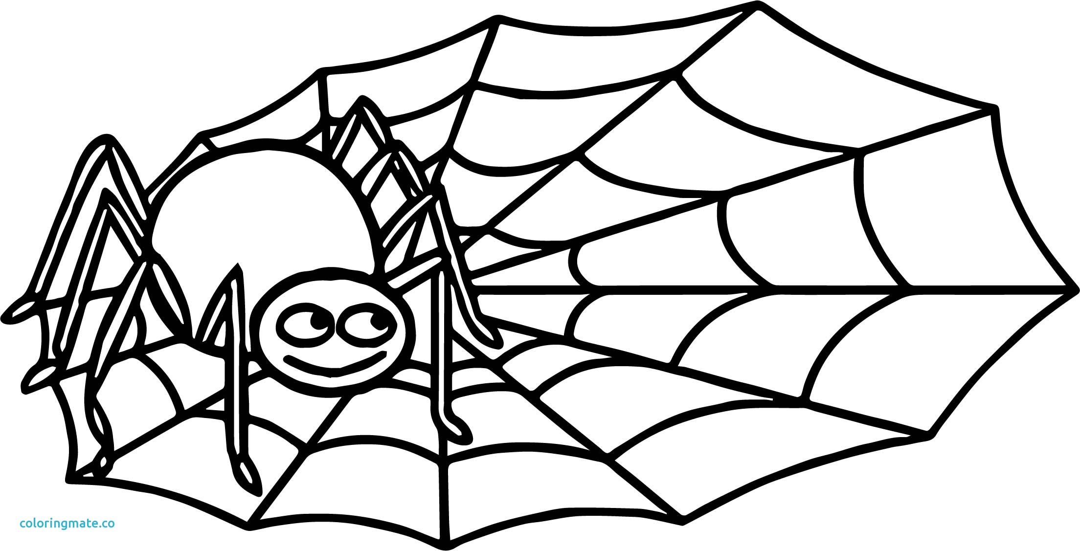 spider-web-coloring-page-at-getcolorings-free-printable-colorings