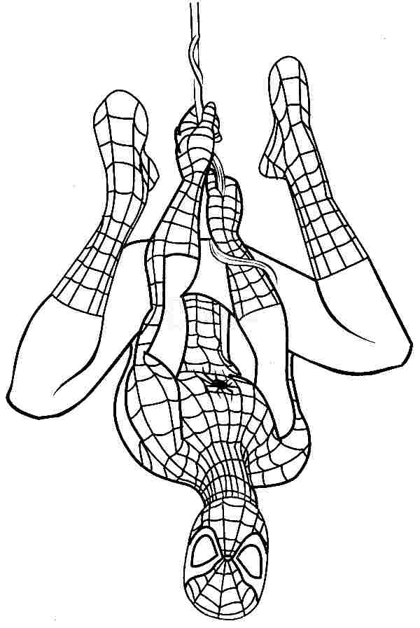 Baby Spiderman Coloring Pages at GetColorings.com | Free ...