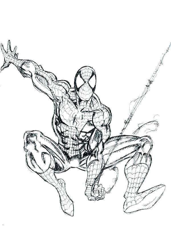 Spiderman Coloring Pages Pdf at GetColorings.com | Free ...