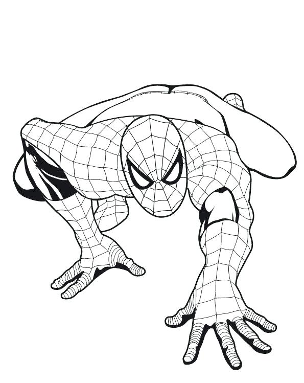 Spiderman Head Coloring Pages At Getcolorings.com 