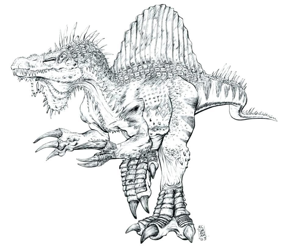 Spinosaurus Coloring Pages Printable At Getcolorings Free