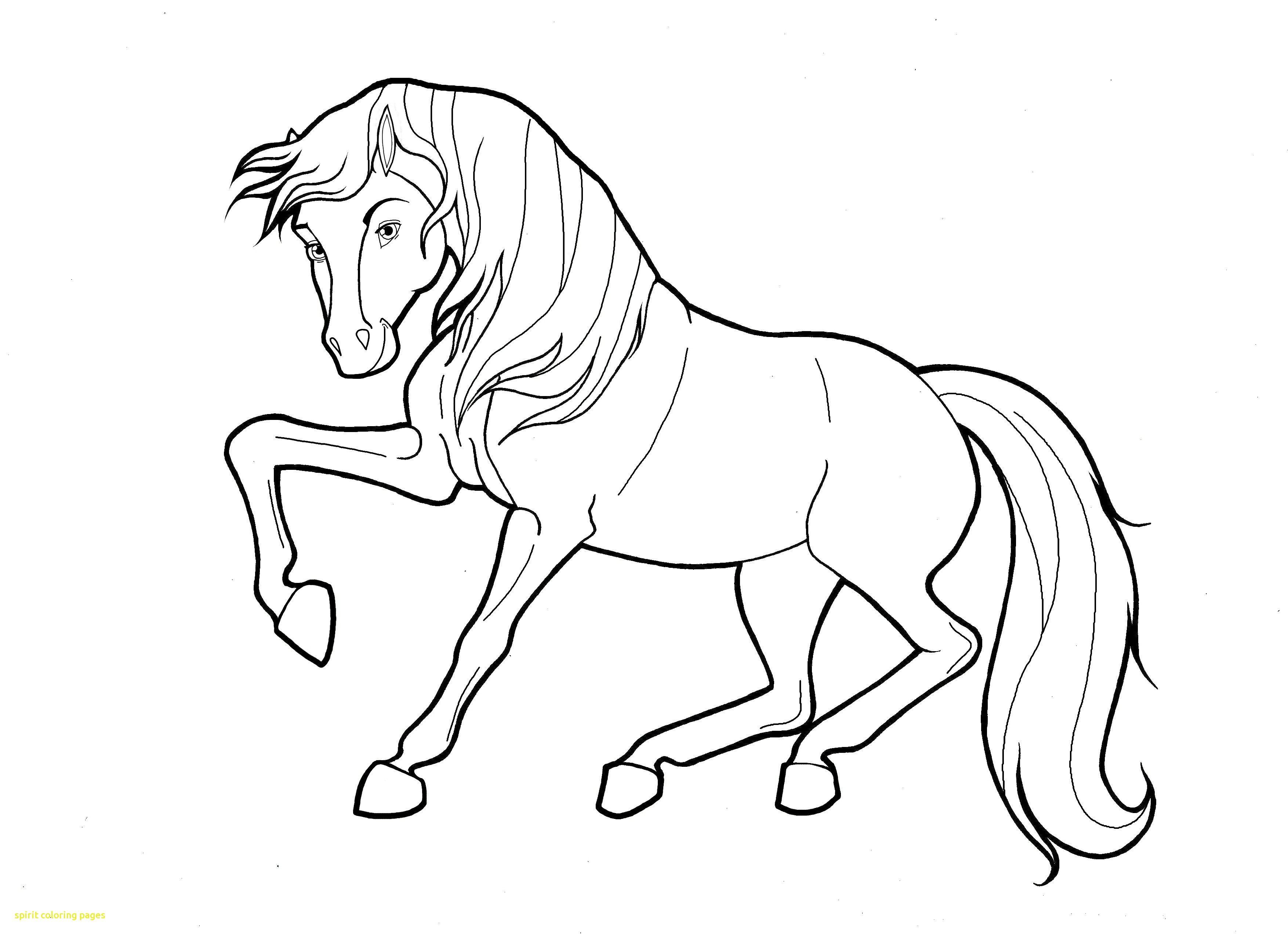 Spirit Horse Coloring Pages at GetColorings.com | Free printable