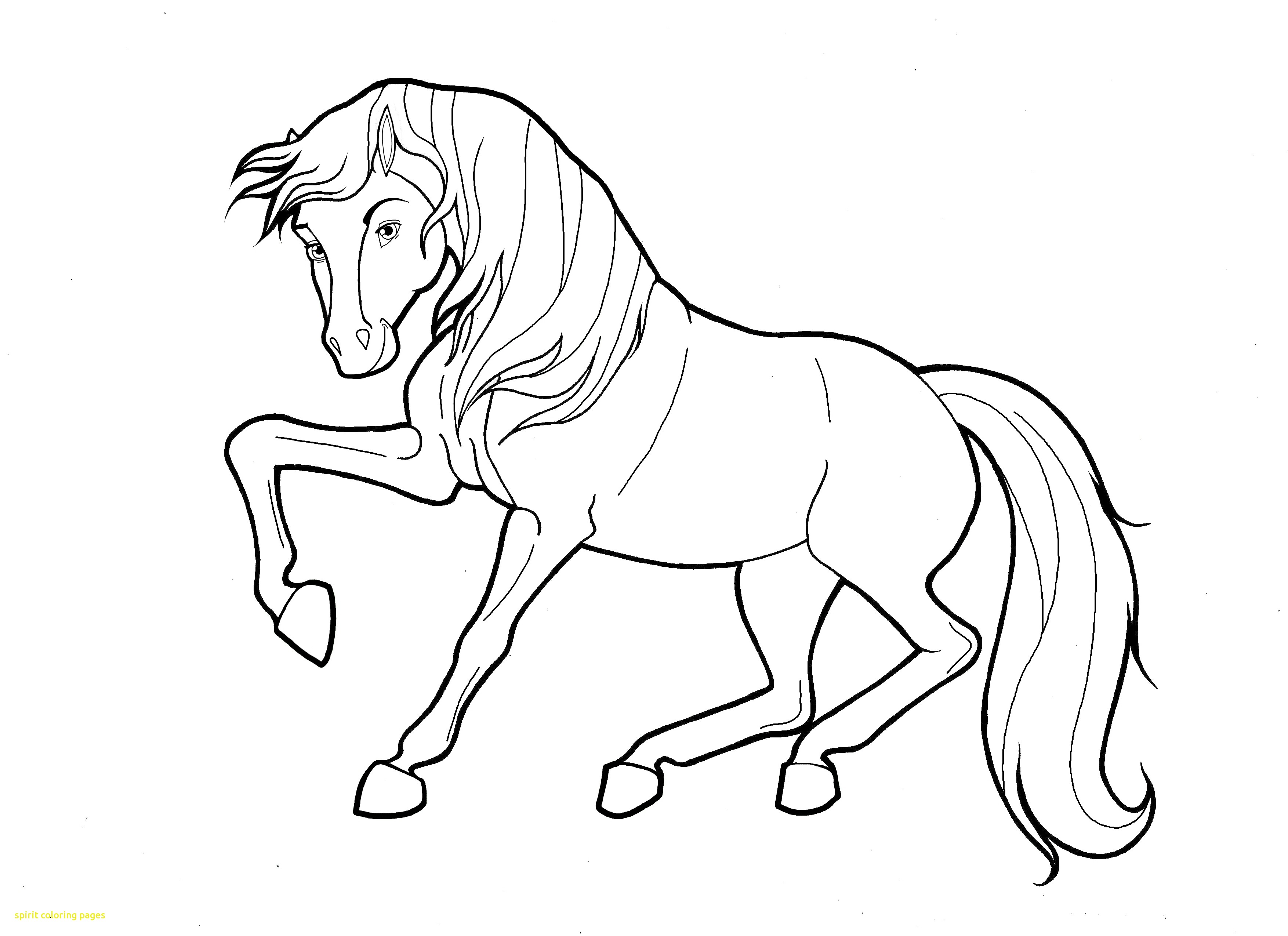 Spirit Horse Coloring Pages At GetColorings Free Printable 