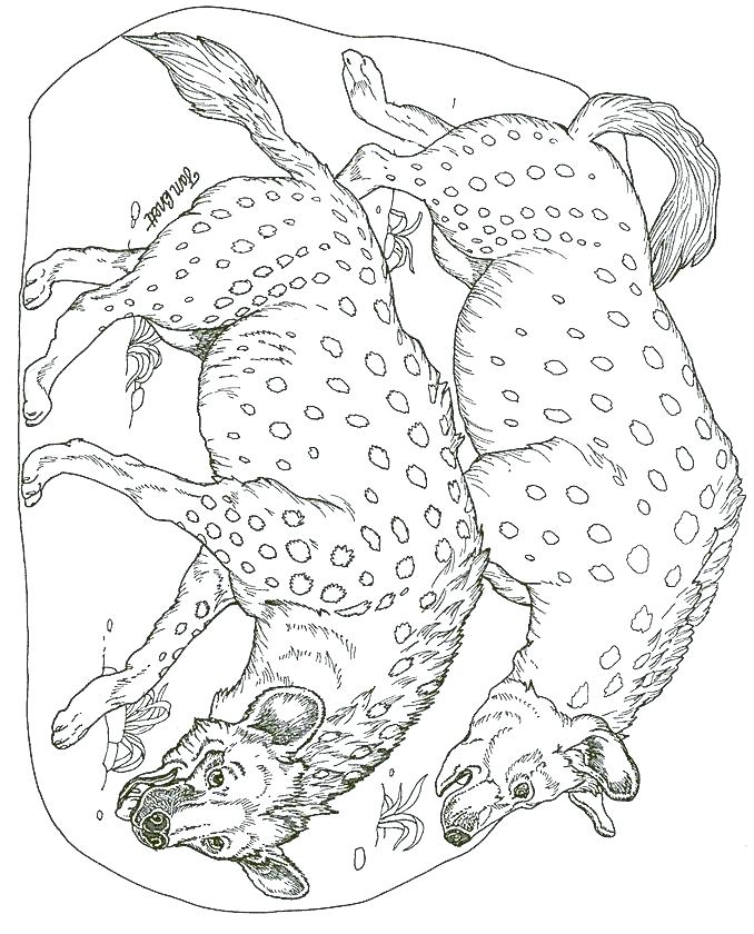 Spotted Hyena Coloring Pages at GetColorings.com | Free printable