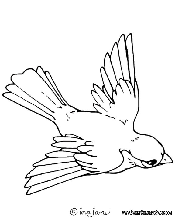 Spring Birds Coloring Pages at GetColorings.com | Free printable