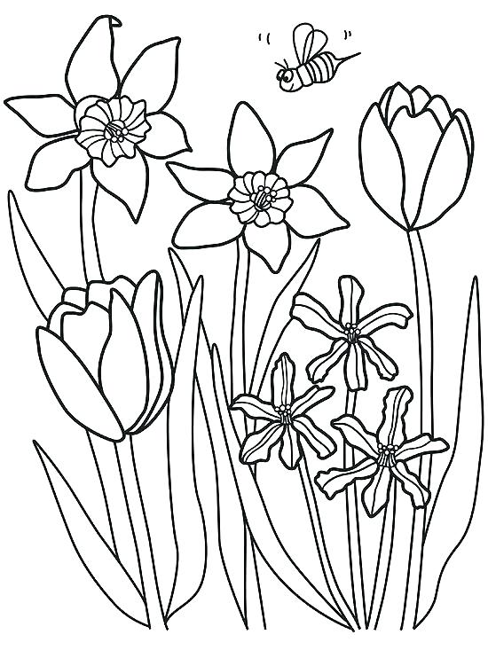Spring Flowers Coloring Pages Printable At GetColorings Free 