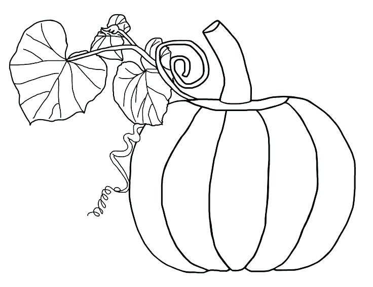 square pumpkin coloring pages
