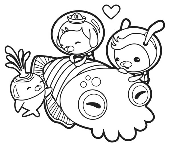 Squid Coloring Pages At Getcolorings Free Printable Colorings