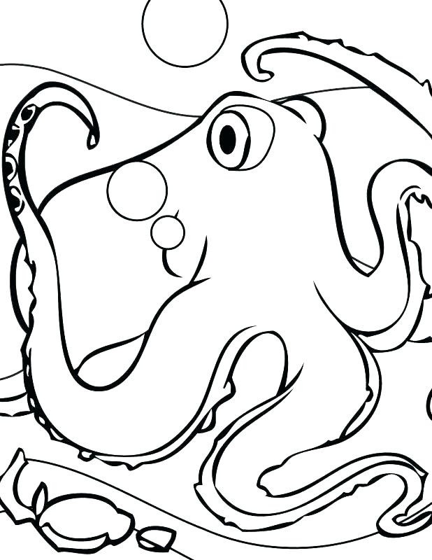 Squid Coloring Pages at GetColorings.com | Free printable colorings