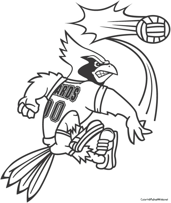 Fredbird Of The St Louis Cardinals - Free Coloring Pages
