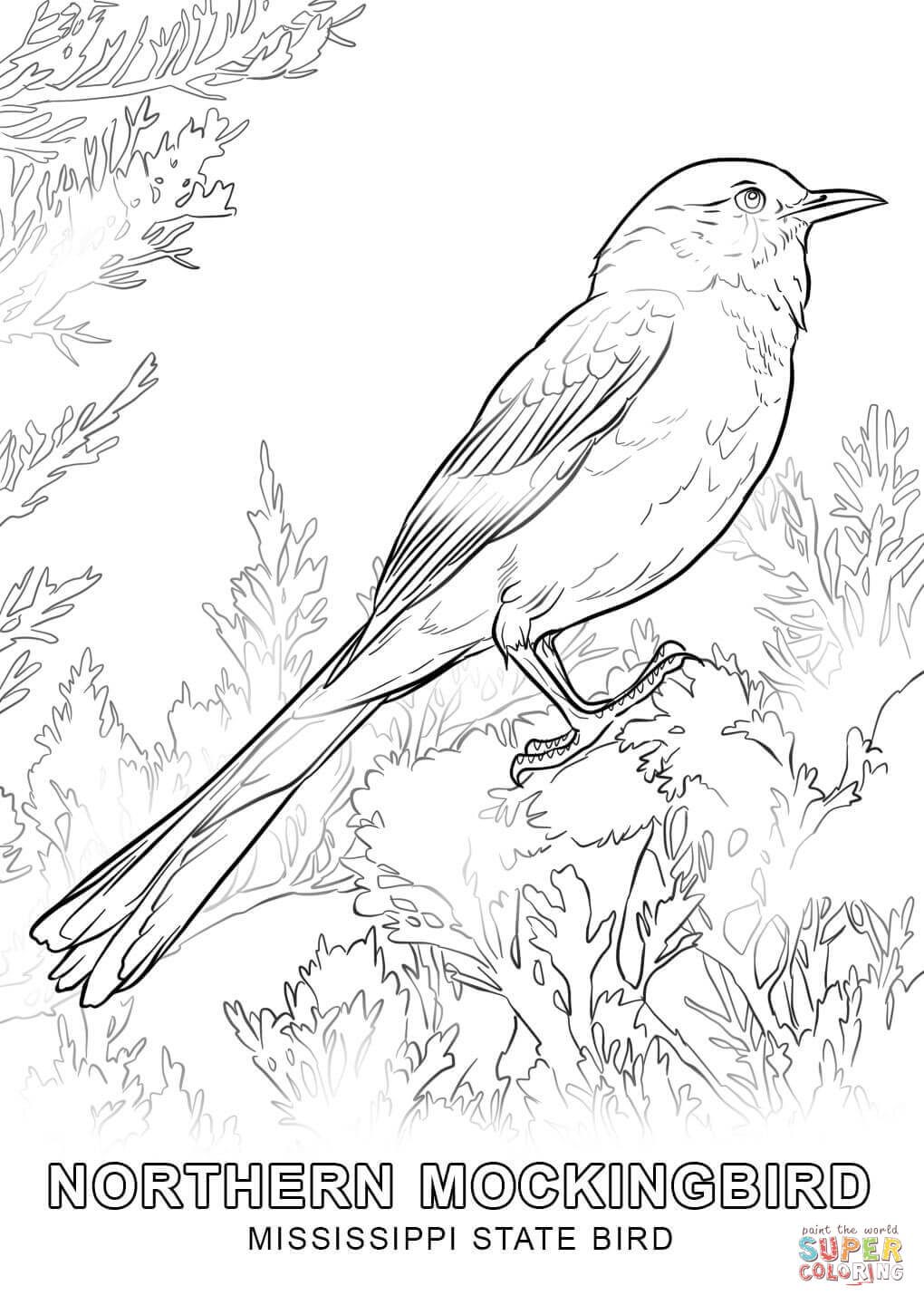 10 Beautiful State Bird Coloring Pages to Color