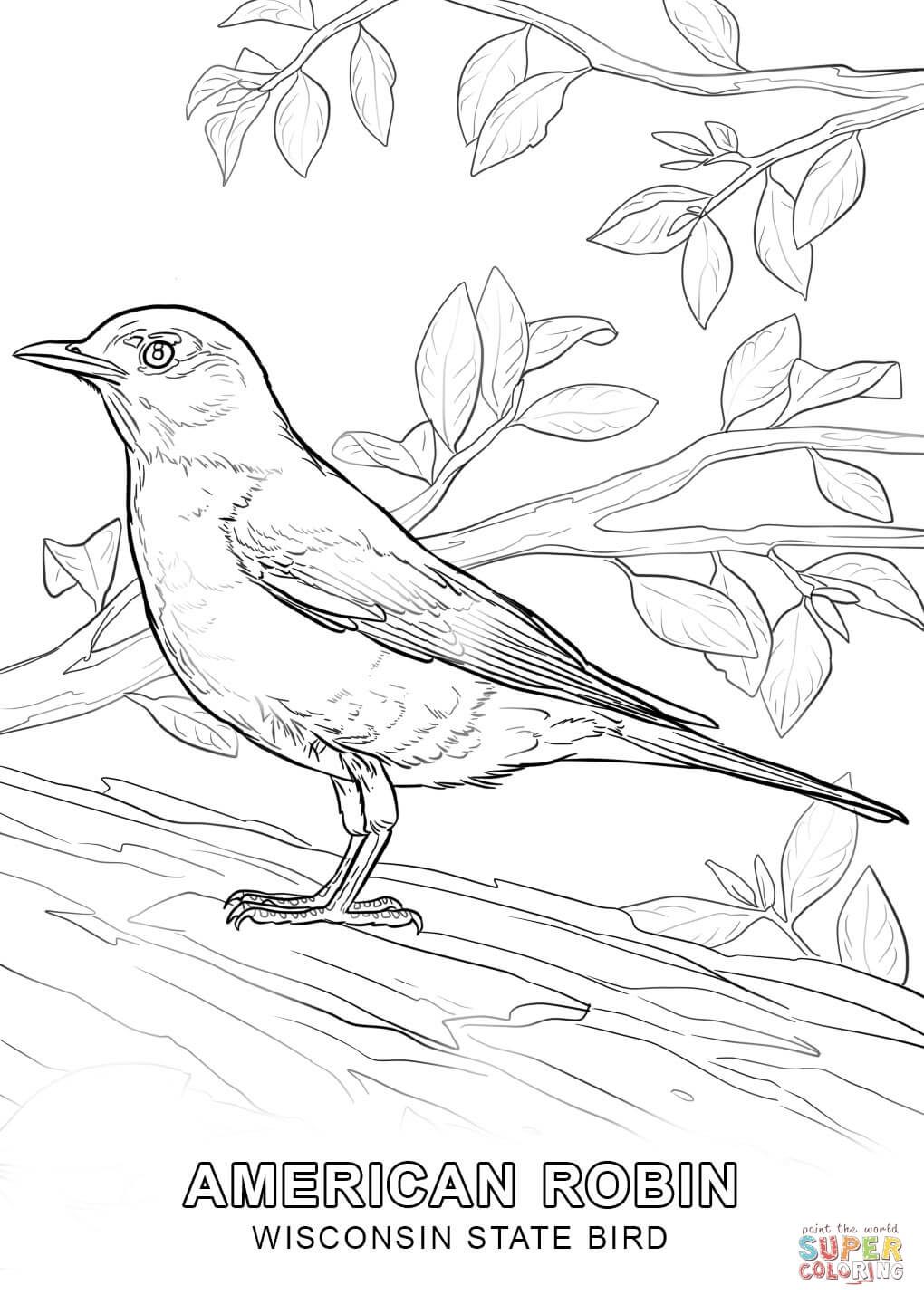 10 Beautiful State Bird Coloring Pages to Color