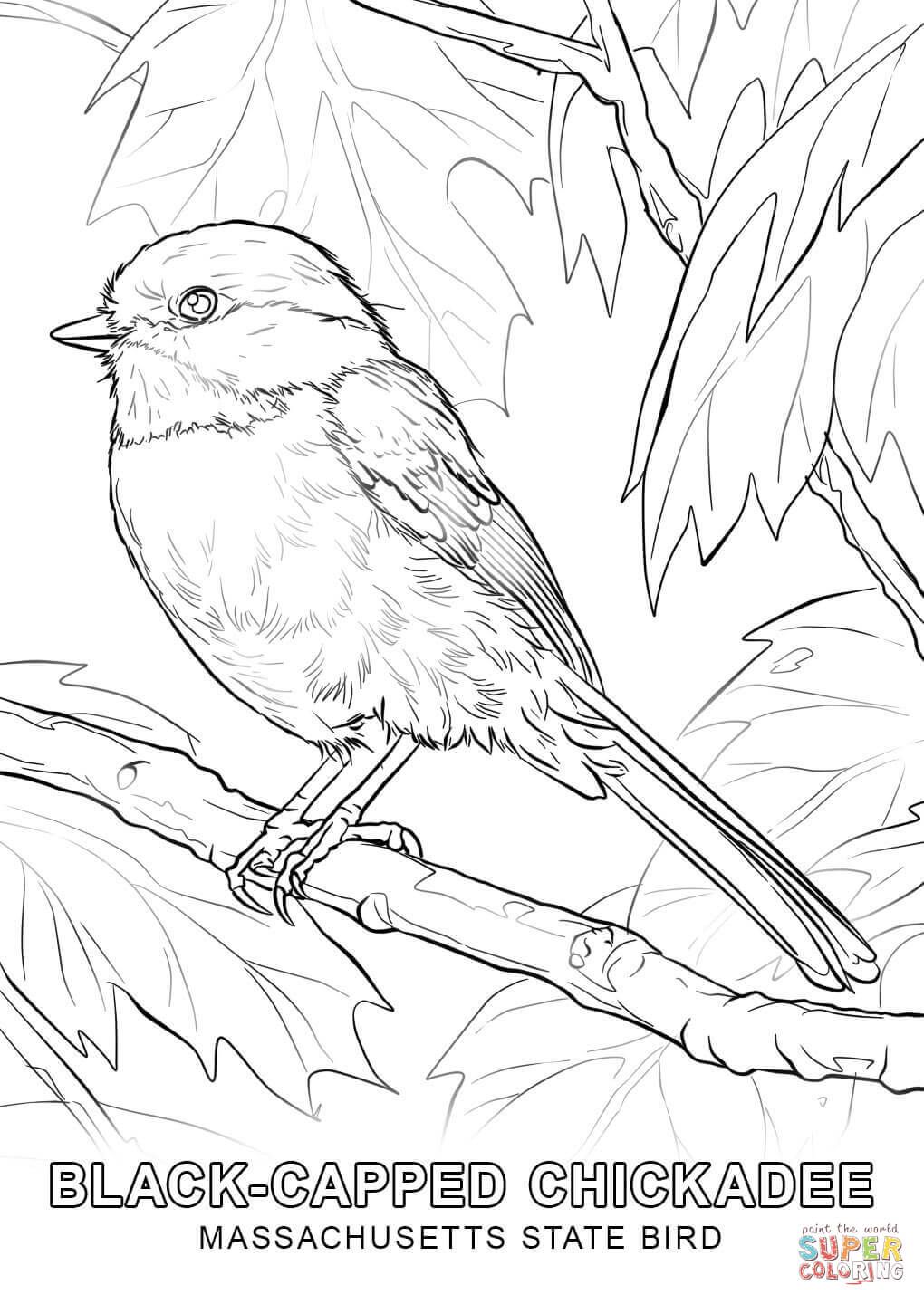 State Bird Coloring Pages at GetColorings.com | Free printable