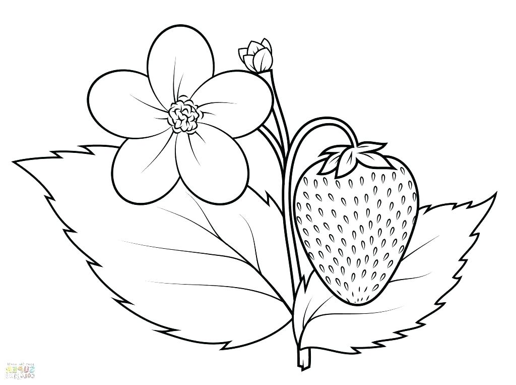 Strawberry Coloring Page at GetColorings.com | Free printable colorings