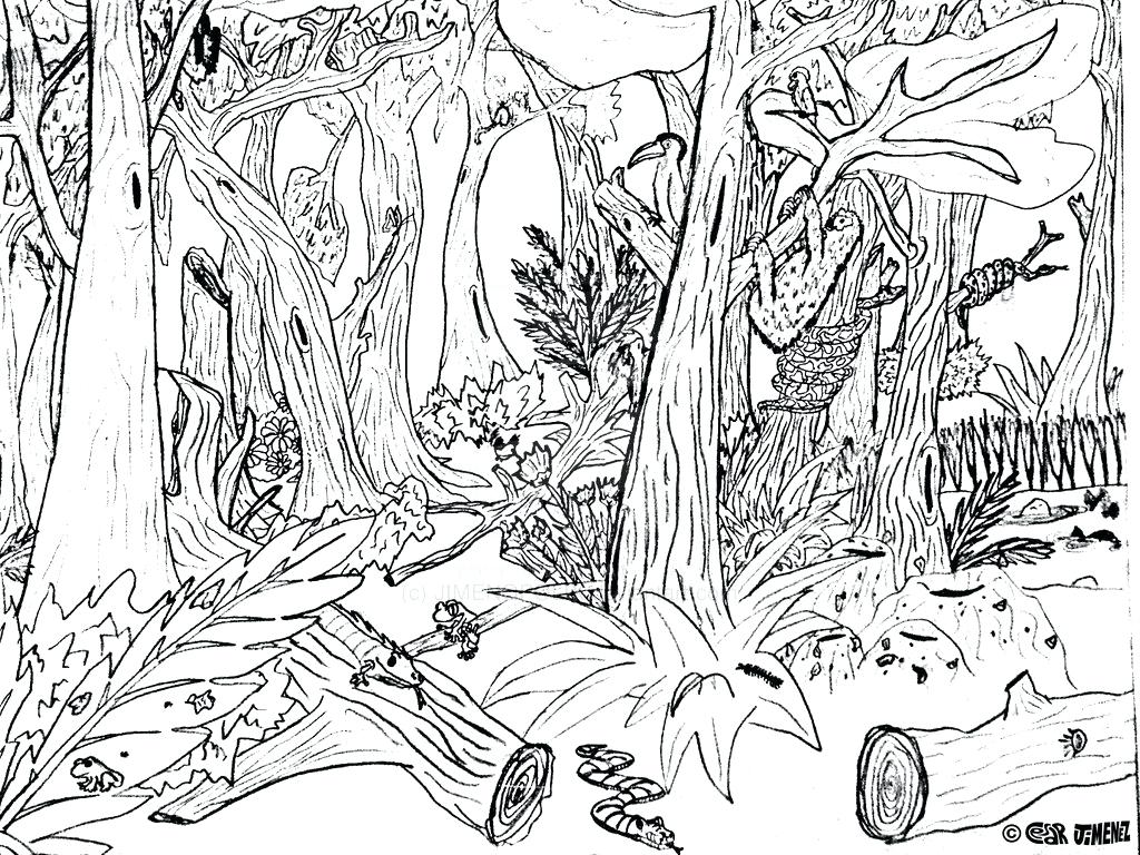 Stream Coloring Page at GetColorings.com | Free printable colorings