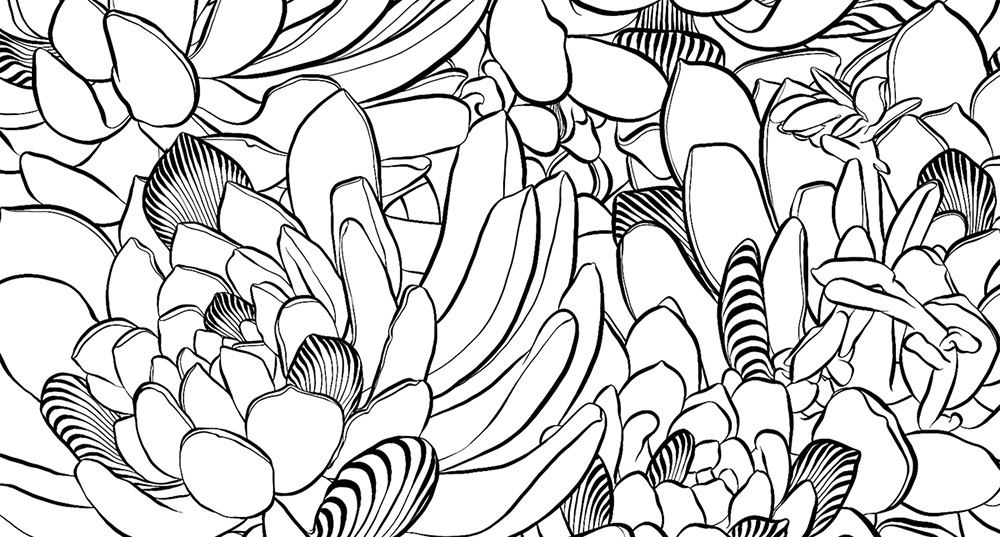 Succulent Coloring Page at GetColorings.com | Free printable colorings