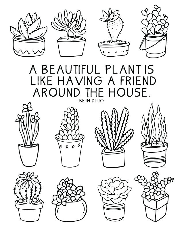 Succulent Coloring Page at Free printable colorings