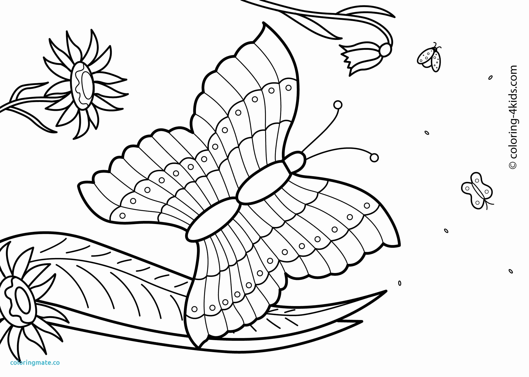 Summer Coloring Pages Pdf at GetColorings.com | Free ...