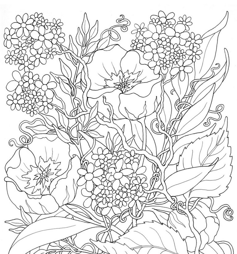 Summer Flowers Coloring Pages at GetColorings.com | Free printable