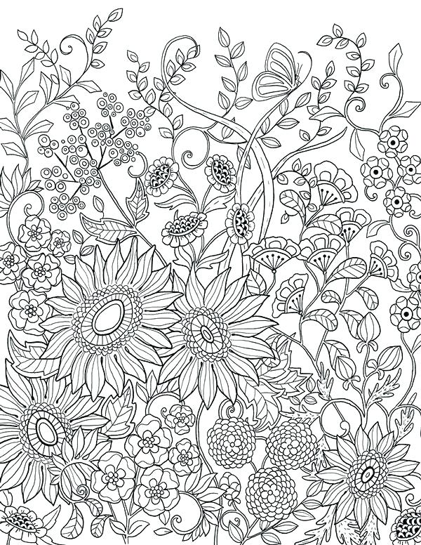 Sunflower Coloring Pages For Adults At GetColorings Free 