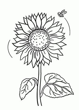 Sunflower Coloring Pages For Kids at GetColorings.com | Free printable